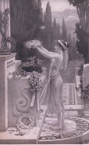 Hänen ensimmäinen tarjouksensa, Bibbys Annual, 1916-1917