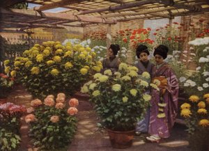 Chrysanthemum Show