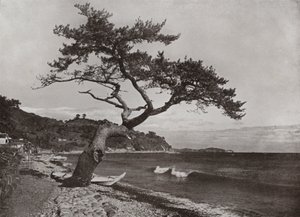 Atami (m/w kuva) tekijältä Herbert Ponting