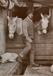 Kapteeni Oates ja ponit Terra Novalla, 1910-1912, 1913. tekijältä Herbert Ponting
