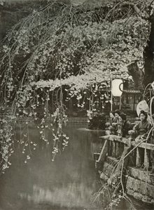 Kirsikankukinnan aika Japanissa, 1910. tekijältä Herbert Ponting