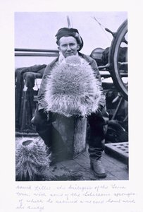 David Lille, Terra Novan biologi, ja joitakin Seliceous Sponges -sieniä Scottin viimeisestä tutkimusmatkasta. tekijältä Herbert Ponting