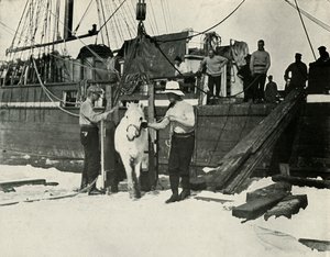 Ponien poistuminen, c19101913, 1913 tekijältä Herbert Ponting
