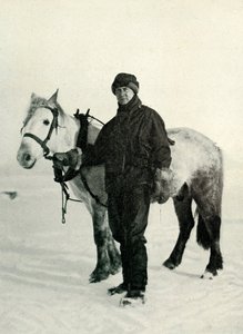 Dr. Wilson ja Pony Nobby, 1911, 1913 tekijältä Herbert Ponting