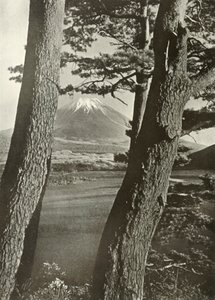 Fuji Motosu-järven mäntyjen läpi, 1910. tekijältä Herbert Ponting