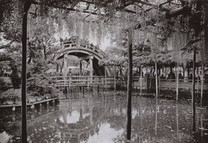 Kameido (m/w kuva) tekijältä Herbert Ponting