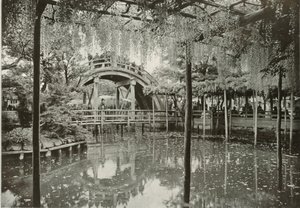 Kameido, 1910. tekijältä Herbert Ponting