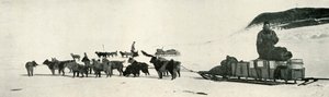 Meares ja Demetri koiraryhmiensä kanssa lähtemässä Hut Pointista, c1911, 1913 tekijältä Herbert Ponting