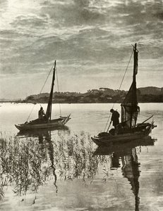 Tokionlahdella, 1910. tekijältä Herbert Ponting