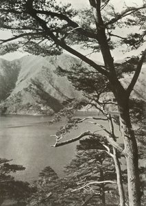 Hotel Across The Lake, Shoji, 1910. tekijältä Herbert Ponting
