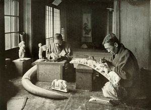 Norsunluunveistäjät, 1910. tekijältä Herbert Ponting
