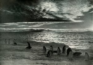 Keskiyön aurinko McMurdo Soundissa, c19101913, 1913 tekijältä Herbert Ponting