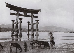 The Old Torii at Miyajima (m/w kuva) tekijältä Herbert Ponting