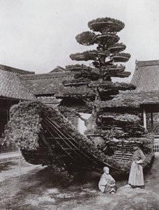 Pine-Tree Junk at Kinkakuji (m/w kuva) tekijältä Herbert Ponting