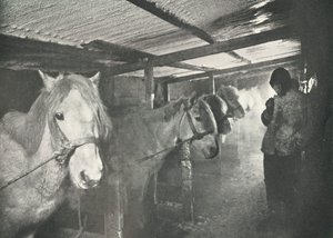 Tallit talvella, c19101911, 1913 tekijältä Herbert Ponting