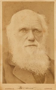 Charles Darwinin muotokuva 1809-1882, 1881.