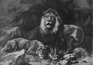 Roused!, c1910, 1911