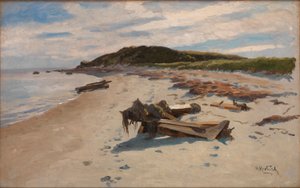 Cape Cod, Ranta