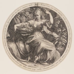 Flora tekijältä Herman Jansz. Muller