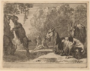 Goats tekijältä Herman van Swanevelt