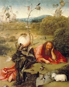 "" Pyhä Johannes Kastaja torkkui luonnossa "" Hieronymus Van Aekenin (Aken) maalaus sanoo Jerome Bosch (1450-1516) 1504-1505 Madrid. Lazaro Galdianon säätiö tekijältä Hieronymus Bosch