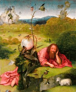 Pyhä Johannes Kastaja autiomaassa, 1400-luvun loppu. tekijältä Hieronymus Bosch
