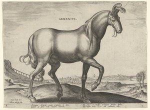 Hevonen Armeniasta (Armenius) armenialaiset (otsikko esineessä) Hevosrodut Itävallan Don Juanin kuninkaallisilta tallilta (sarjan nimi) Equile Ioannis Austriaci Caroli (sarjan nimi)