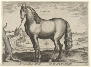 Hevonen Bretagnen (Brittanus) Britannvs (otsikko esineessä) Hevosrodut Itävallan Don Juanin kuninkaallisilta tallilta (sarjan nimi) Equile Ioannis Austriaci Caroli (sarjan nimi) tekijältä Hieronymus Wierix