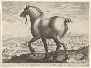 Hevonen Saksista Saxo (otsikko esineessä) Hevosrodut Itävallan Don Juanin kuninkaallisilta tallilta (sarjan nimi) Equile Ioannis Austriaci Caroli (sarjan nimi)