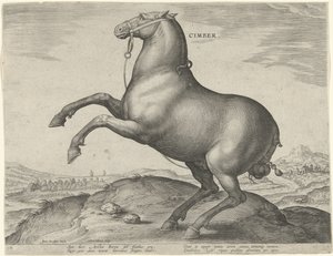 Hevonen Skytiasta Cimber (otsikko esineessä) Hevosrodut Itävallan Don Juanin kuninkaallisilta tallilta (sarjan nimi) Equile Ioannis Austriaci Caroli (sarjan nimi) tekijältä Hieronymus Wierix