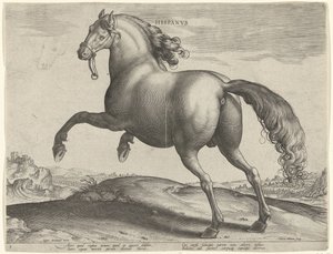 Hevonen Espanjasta (Hispanus Alter) Hispanvs (otsikko objektissa) Hevosrodut Itävallan Don Juanin kuninkaallisilta tallilta (sarjan nimi) Equile Ioannis Austriaci Caroli (sarjan nimi) tekijältä Hieronymus Wierix