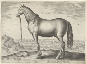Hevonen Thessaliasta (Thessalus) Thessalvs (otsikko esineessä) Hevosrodut Itävallan Don Juanin kuninkaallisilta tallilta (sarjan nimi) Equile Ioannis Austriaci Caroli (sarjan nimi)