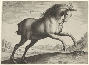 Equus Regius -rodun hevonen (kuninkaallinen) Eqvvs Regivs (otsikko objektissa) Hevosrodut Itävallan Don Juanin kuninkaallisilta tallilta (sarjan nimi) Equile Ioannis Austriaci Caroli (sarjan nimi)
