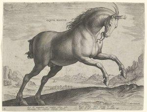 Equus Regius -rodun hevonen (kuninkaallinen) Eqvvs Regivs (otsikko objektissa) Hevosrodut Itävallan Don Juanin kuninkaallisilta tallilta (sarjan nimi) Equile Ioannis Austriaci Caroli (sarjan nimi) tekijältä Hieronymus Wierix