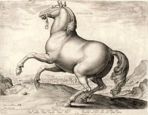 Gallicus sarjasta Hevoset Itävallan Don Juanin tallilta (kaiverrus kudoksiin)