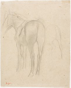 Hevosen tutkimukset tekijältä Hilaire Germain Edgar Degas