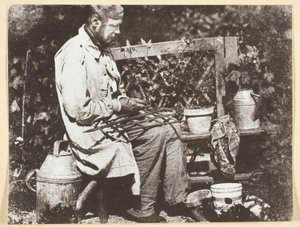 Bayard Jardinier tekijältä Hippolyte Bayard