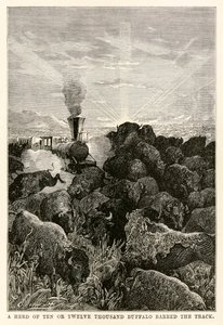 Kymmenen tai kahdentoista tuhannen biisonin lauma esti tien, Jules Vernen (1828-1905) teoksesta Maailman ympäri kahdeksassakymmenessä päivässä, kaivertaja Louis Prevost, 1873.
