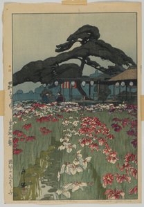 Iris Garden in Horikiri, sarjasta Tokion kaksitoista kohtausta, Showa-aikakausi tekijältä Hiroshi Yoshida