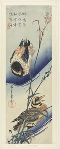 Ànecs en acabat de canya tekijältä Hiroshige (I) , Utagawa