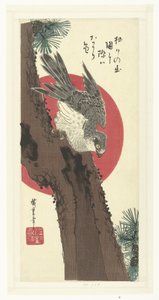 Haukka männyn päällä tekijältä Hiroshige (I) , Utagawa