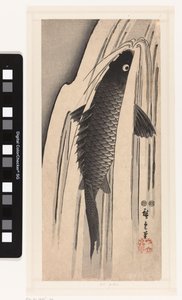 Karppi uimassa vesiputousta vasten tekijältä Hiroshige (I) , Utagawa
