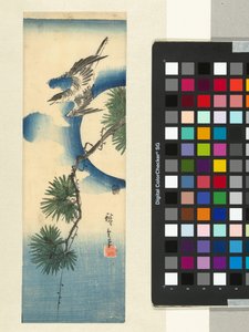 Käki männyn oksalla ja täysikuu tekijältä Hiroshige (I) , Utagawa