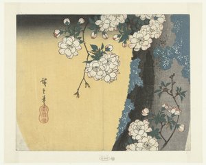 Sammaleinen runko ja kirsikankukat tekijältä Hiroshige (I) , Utagawa