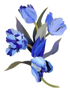 Sininen tulppaani
