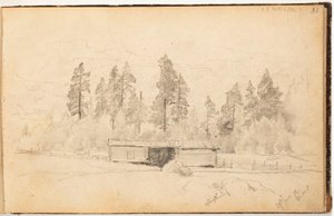  tekijältä Hjalmar Munsterhjelm