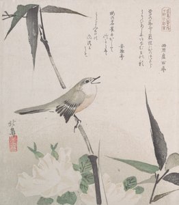 Ruusuja ja bambua satakielillä, 1800-luku, 1800-luku.
