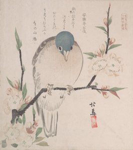 Spring Rain Collection Harusame shu, voi. 3: Mountain Dove ja Peach Flowers, n. 1820, n. 1820.