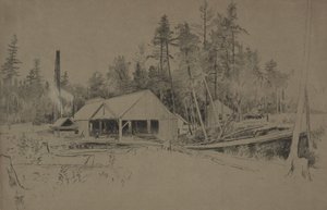 Saha tekijältä Homer Dodge Martin