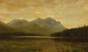 Upper Ausable Lake tekijältä Homer Dodge Martin
